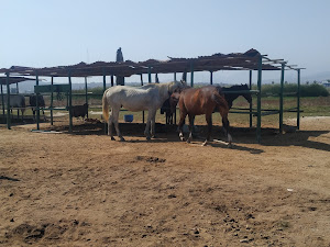 Rancho los caballos 3