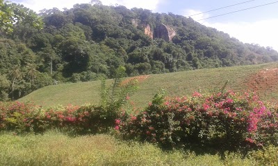 Photos of Thempana Temple