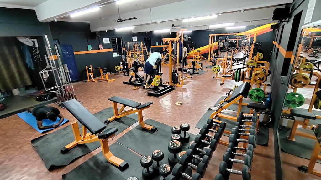 Revamp Fitness Wellness