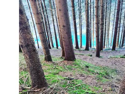 Rosshauptener Drachenweg - Thumbnail
