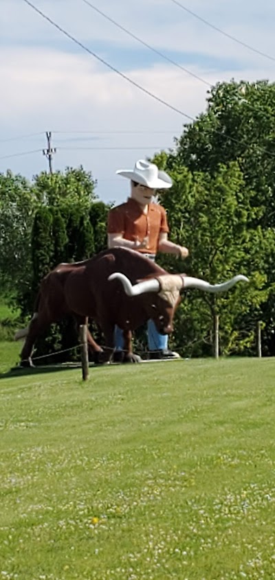 Village Cowboy & Bull