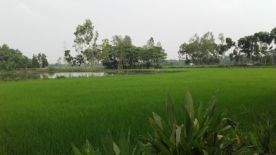 Photos of Fazilpur Railway Station