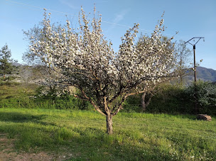 Photo n°29 de Le Petit Chariot à La Saulce (Hébergement d'intérieur)