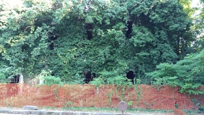 Photos of Ex Stazione Cocche