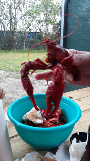 Crawfish Hideaway #2 - Visual