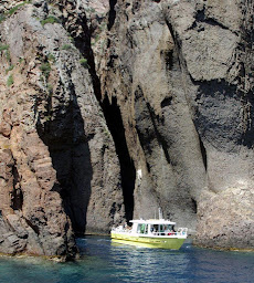 Photo n°5 de Porto Linéa Excursions Maritimes à Porto, Corse (Agence d'excursions en bateau)