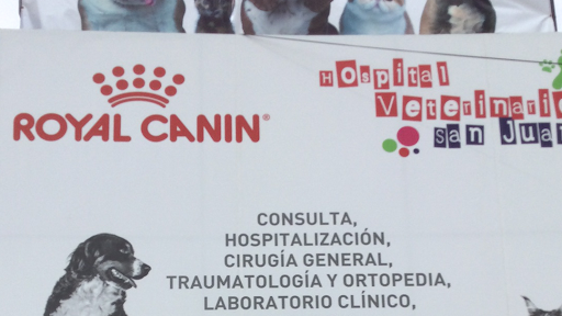 Hospital Veterinario San Juan