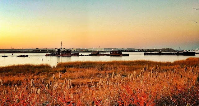 Staten Island Boat Graveyard