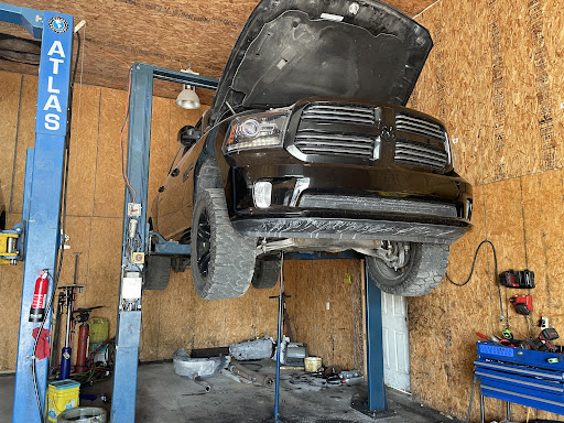 Wayne auto - Visual
