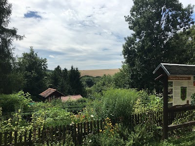 Photos of Alternative Bear Park Worbis