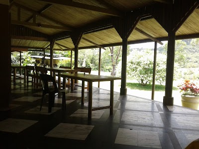 Photos of Domaine De La Grave