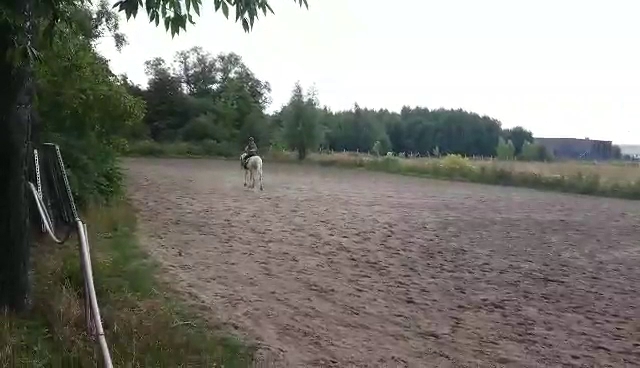 Stadnina koni na SMULSKU - Szkoła nauki jazdy