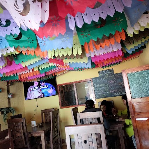 CRUDOLOGÍA tacos y tortas ahogadas - Thumbnail
