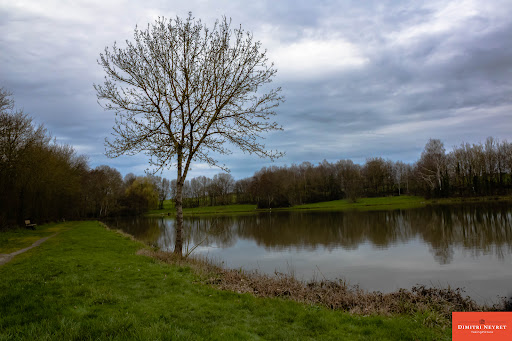 Etang de la sablière