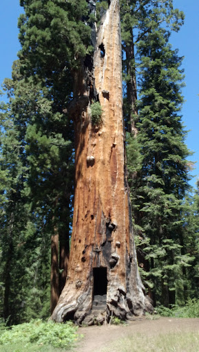 Fraiser mills camp ground Gallery - United States