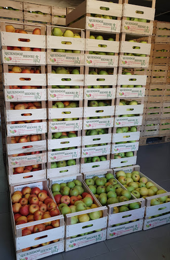 Azienda agricola Quendoz Henri