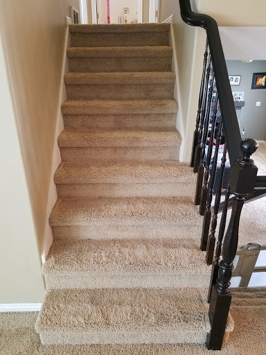 Green Solutions Carpet Cleaning Gallery - United States