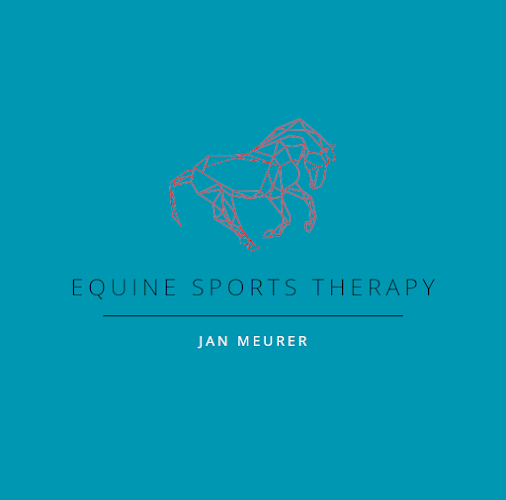 Equine Sports Therapy photo