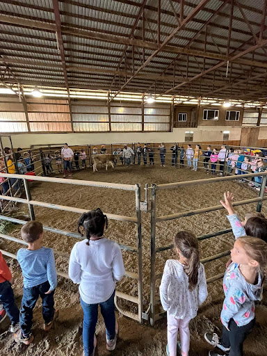 Rocking B Farms