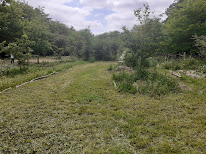 Pépins et Brindilles à Sillé-le-Philippe