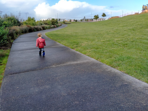 Waiata Shores Esplanade Path - Thumbnail
