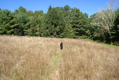 Black Farm Trailhead Parking