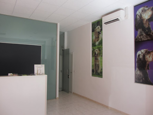 Blázquez Clínica Veterinaria