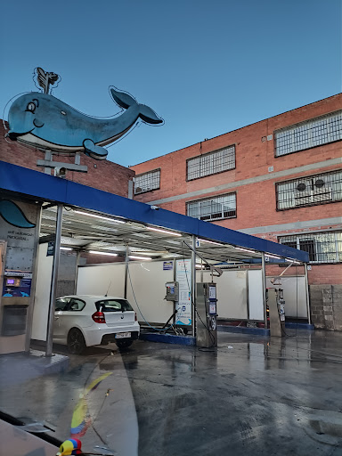 La Ballena Azul - Thumbnail