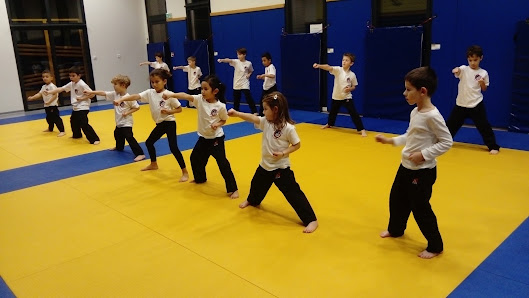 Kung Fu - Tai Chi Chuan - Qi Gong - Zen et Attentif Enfants : Association d