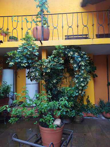 Posada San Luis - Thumbnail