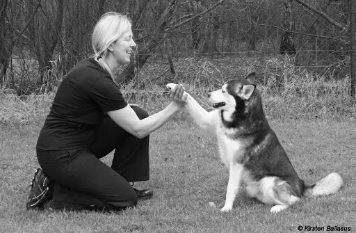 Hundekrankengymnastik Pfalzdorf - Thumbnail