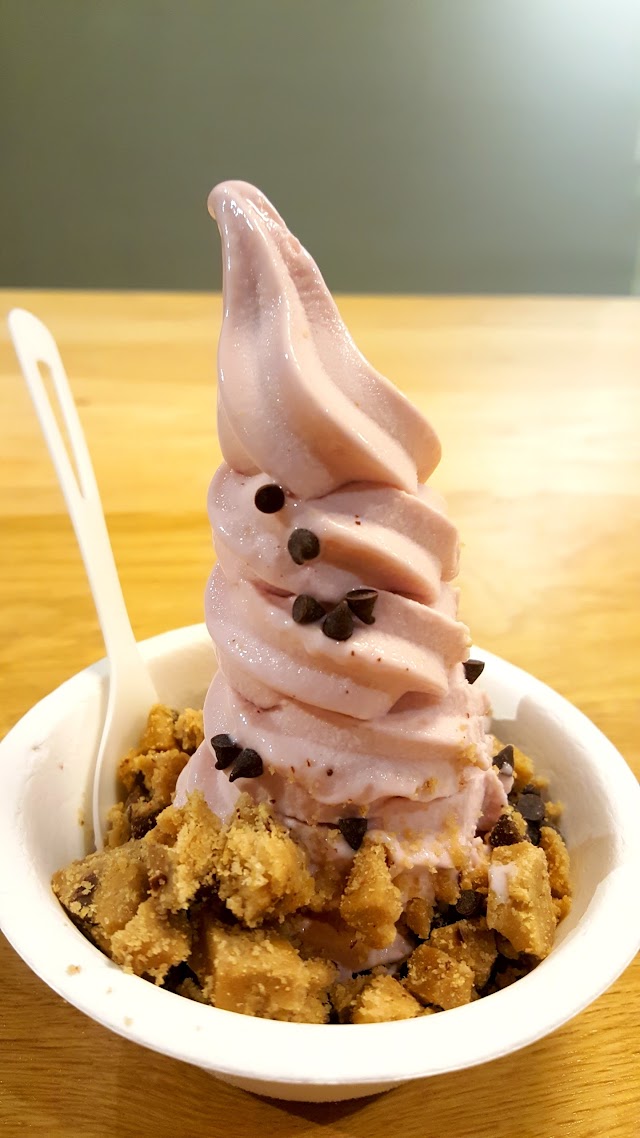 Eb & Bean Local Organic Frozen Yogurt (NE)