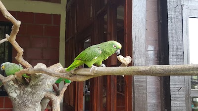 Photos of Finca Luz de Luna