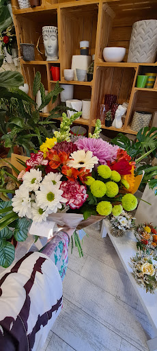 Marta Florista - Visual