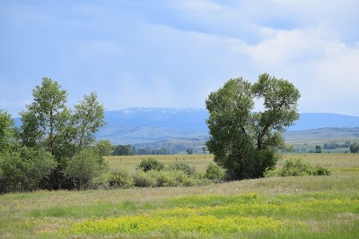 Spring Creek Campground and Trout Ranch