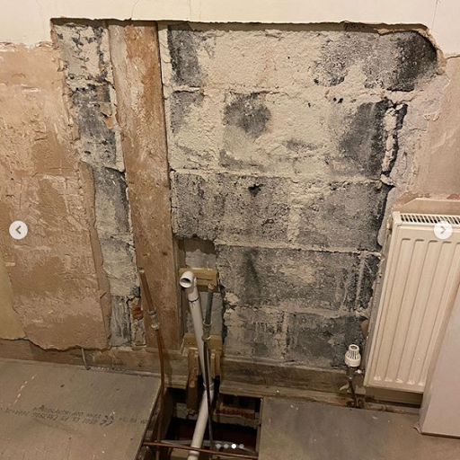 Mongo Plumbers - Visual