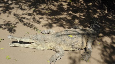 zoo