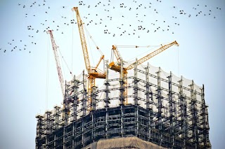 Monex Cranes