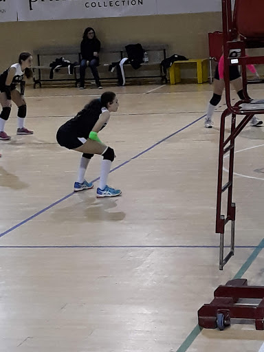 Palazzetto dello Sport S. Pio - Thumbnail