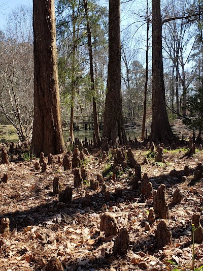 Donald E. Davis Arboretum