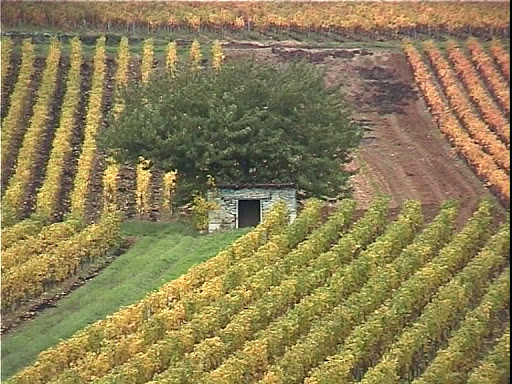 Photo de Château d'Aine à Azé (71260)