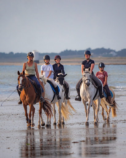 Le Cocon du Marais Poney-club. - Thumbnail