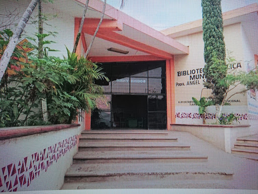 Biblioteca Publica Municipal Profr. Angel Salazar Pacheco - Thumbnail
