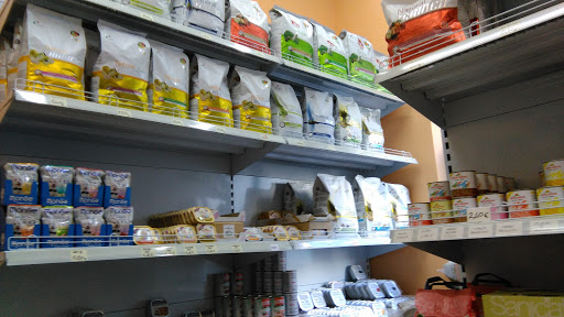 Cibo&Coccole Di Maurizio Cavanna - Thumbnail