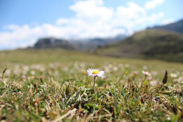 Lagos de Covadonga