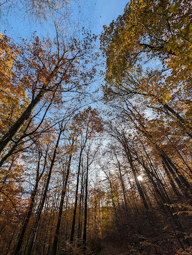 Wanderparkplatz Elfenstein