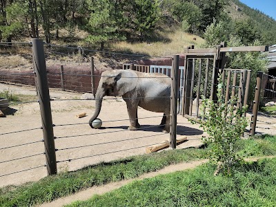 Cheyenne Mountain Zoo