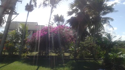 Photos of Shalini Gardens Hotel & Apartment