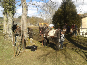 Photo n°12 de Le relais de la planche à Champoly (Chambre d'hôtes)