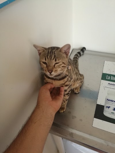 Photos of Clinica Veterinaria Zooland